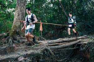 BIB: 
                            <button type="button" onclick="openModal(27311382)" class="btn btn-primary btn-sm float-right btn-popup" data-toggle="modal" data-target=".modal-high-quality">
                        <i class="fas fa-shopping-cart"></i> Add to Cart
                    </button>
                                            <button type="button" onclick="isThisMe(27311382, true)" class="btn btn-success btn-sm float-right btn-popup btn-isme hidden" data-toggle="tooltip" data-placement="bottom" title="นี่คือรูปของคุณใช่ไหม คลิกที่นี่เพื่อเอาเข้าอัลบั้ม">
                        <i class="fas fa-plus"></i> Add to album
                    </button>
                    <button type="button" onclick="isThisMe(27311382, false)" class="btn btn-warning btn-sm float-right btn-popup btn-isnotme hidden">
                        <i class="fas fa-ban"></i> Remove from album
                    </button>